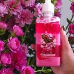 Gel Hidratante Corporal e para Virilha Beijável 280ml Soul Cosméticos / Amarena e creme